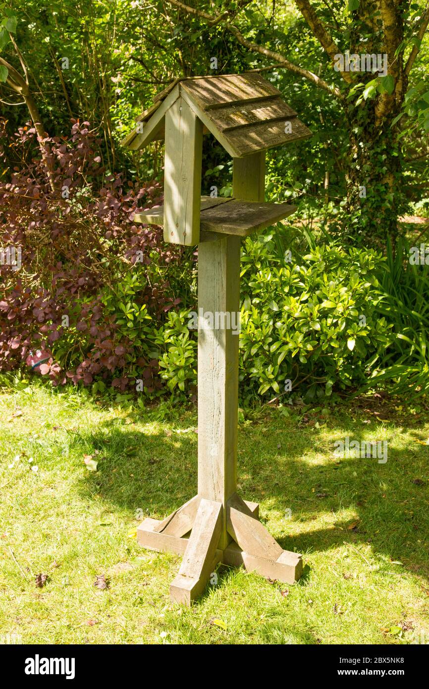 Tavola di alimentazione degli uccelli, Medstead, Alton, Hampshire, Inghilterra, Regno Unito. Foto Stock