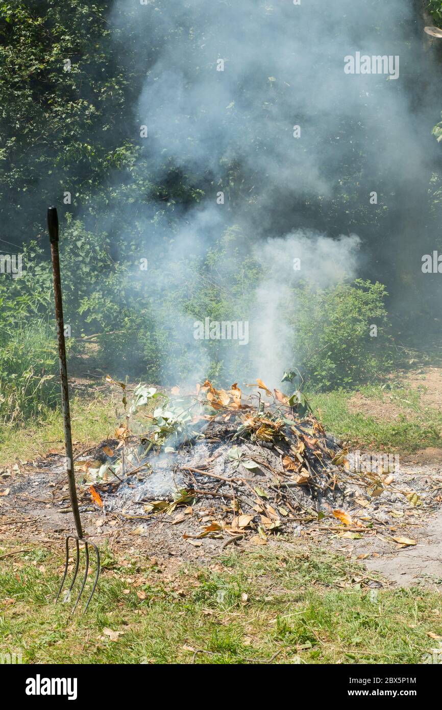 Garden Bonfire, Medstead, Hampshire, Inghilterra, Regno Unito. Foto Stock