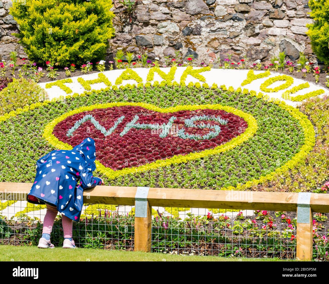 North Berwick, East Lothian, Scozia, Regno Unito, 5 giugno 2020. Tributo floreale e grazie al NHS in Lodge Gardens recentemente completato porta i visitatori ad ammirarlo sotto il sole Foto Stock