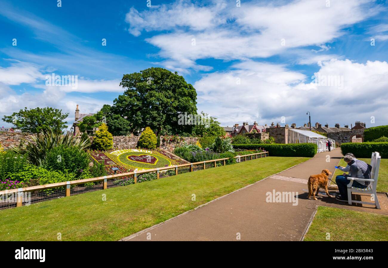 North Berwick, East Lothian, Scozia, Regno Unito, 5 giugno 2020. Tributo floreale e grazie al NHS in Lodge Gardens recentemente completato porta i visitatori ad ammirarlo sotto il sole. Una coppia con un cane si siede su una panchina Foto Stock