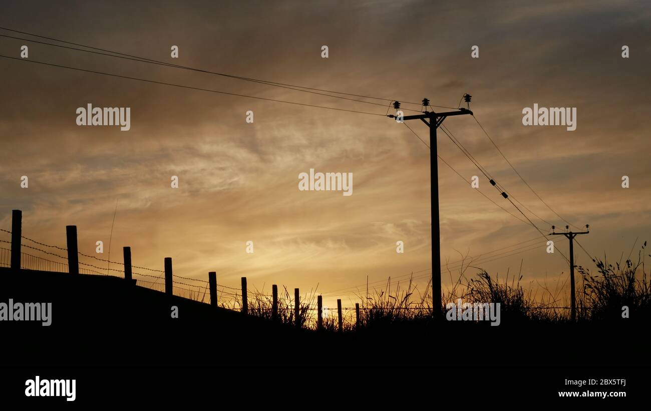 Silhouette di pali telegrafici contro il tramonto Foto Stock