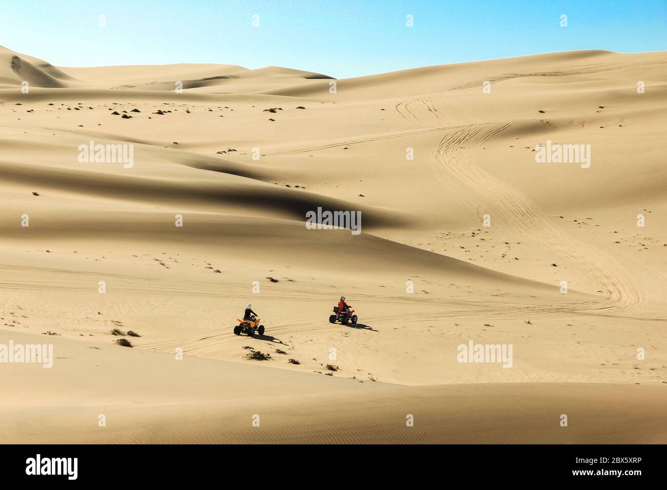 Quad persone guida - due ciclisti felici in dune di sabbia del deserto, Africa, Namibia, Namib, Walvis Bay, Swakopmund. Foto Stock