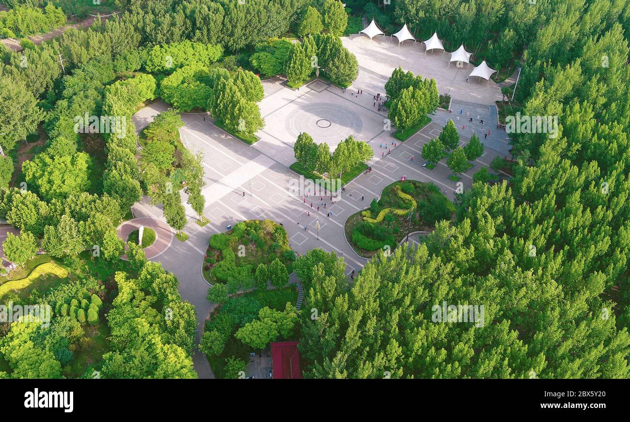 Wen'an. 5 Giugno 2020. Foto aerea del 5 giugno 2020 mostra una vista di un parco forestale nella contea di Wen'an, provincia di Hebei, nella Cina settentrionale. Integrando la costruzione urbana con la rimboschimento, Wen'an ha fatto sforzi per raggiungere l'armonia tra l'uomo e la natura negli ultimi anni. Attualmente la contea vanta un tasso di copertura forestale del 33% e un tasso di area verde urbana del 36.48%. Credit: Yuyu/Xinhua/Alamy Live News Foto Stock