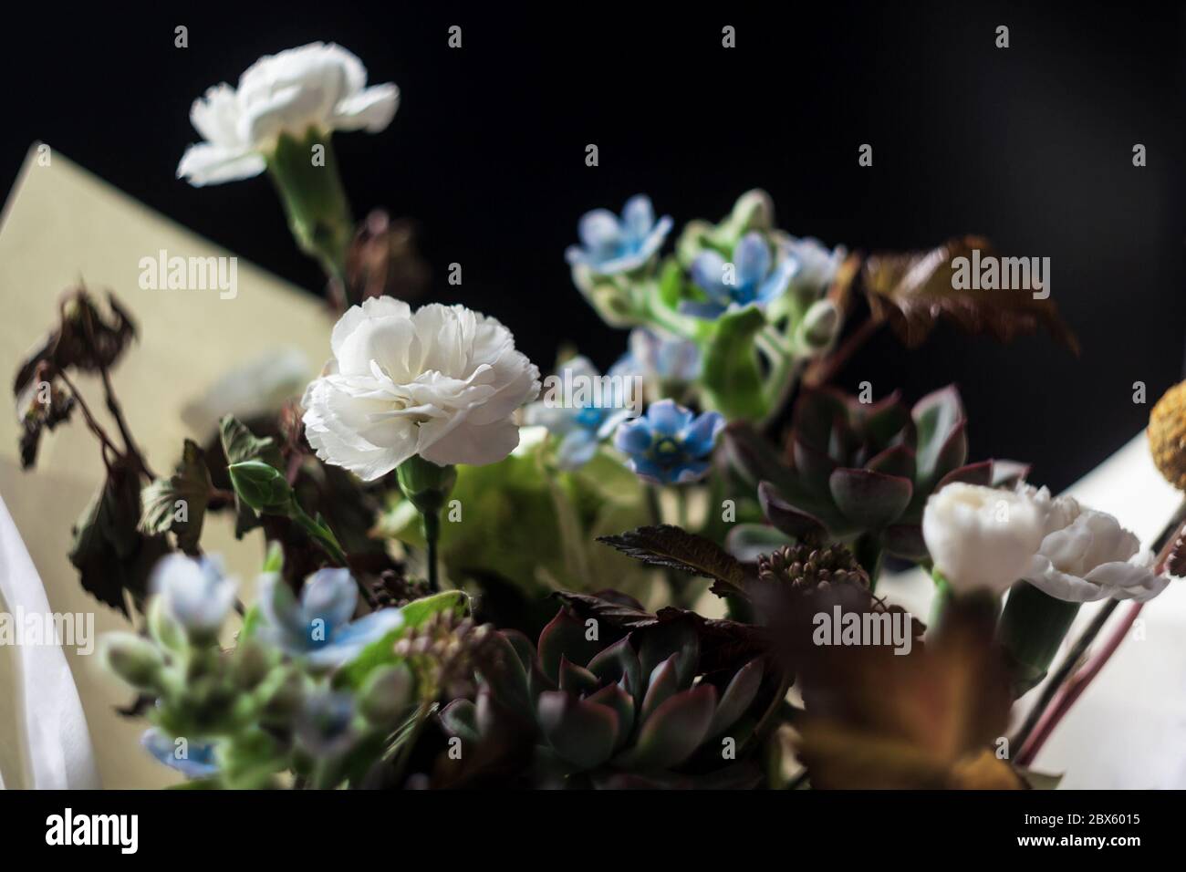 Bel fiore fiore fiore fiore guardaroba. Fiori pallidi Foto Stock