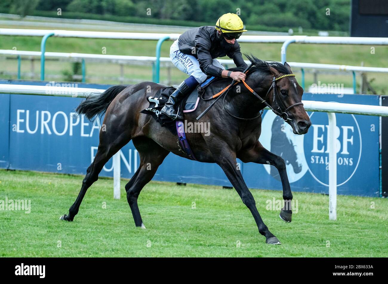 Il Re Inglese guidato da Tom Marquand vince la Betsafe Derby Trial Stakes all'Ippodromo di Lingfield. Foto Stock