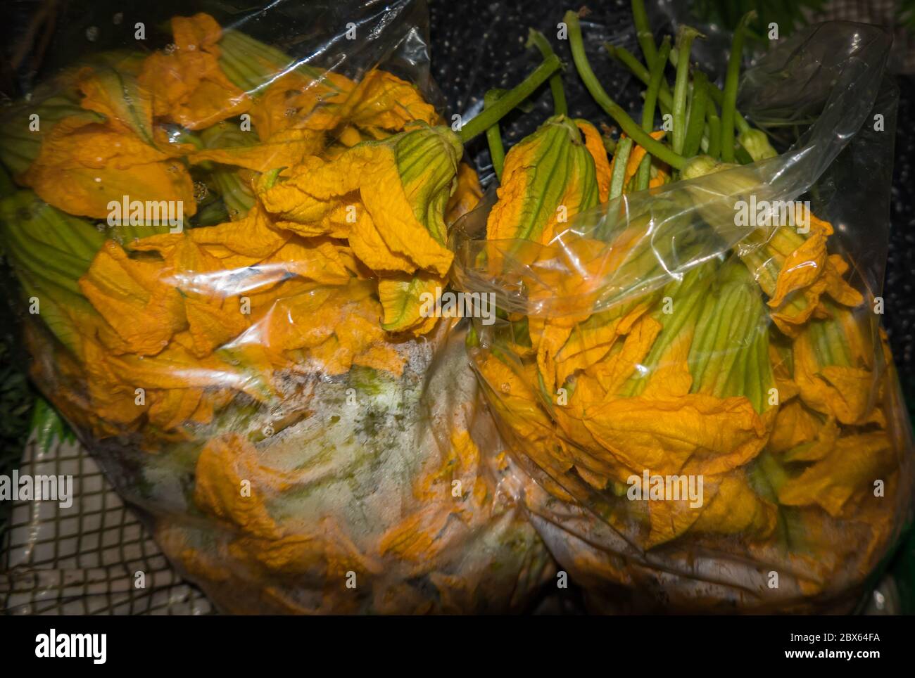 Fiori di zucca freschi in sacchetti da vendere in un mercato indigeno messicano per la cucina Foto Stock