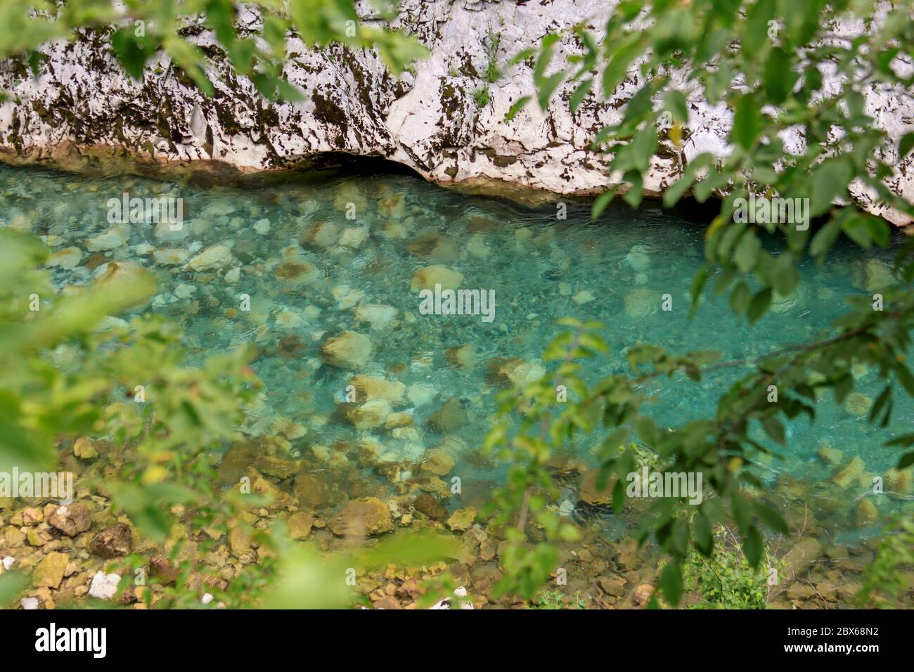 Acque turchesi del fiume Tara attraverso la vegetazione, Montenegro Foto Stock