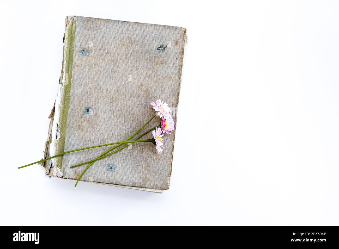 vecchio libro su sfondo bianco. Bouquet di fiori da margherite. Vista dall'alto, posiziona per il testo. Foto Stock