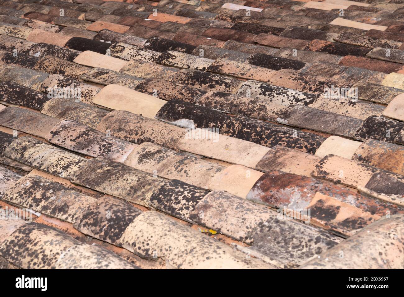 Tipiche tegole francesi per lo sfondo e la consistenza Foto Stock