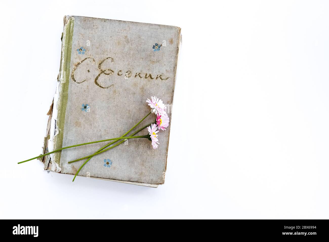 Vecchio libro di poesia del poeta russo Sergei Yesenin su uno sfondo bianco. Bouquet di fiori da margherite. Vista dall'alto. Foto Stock