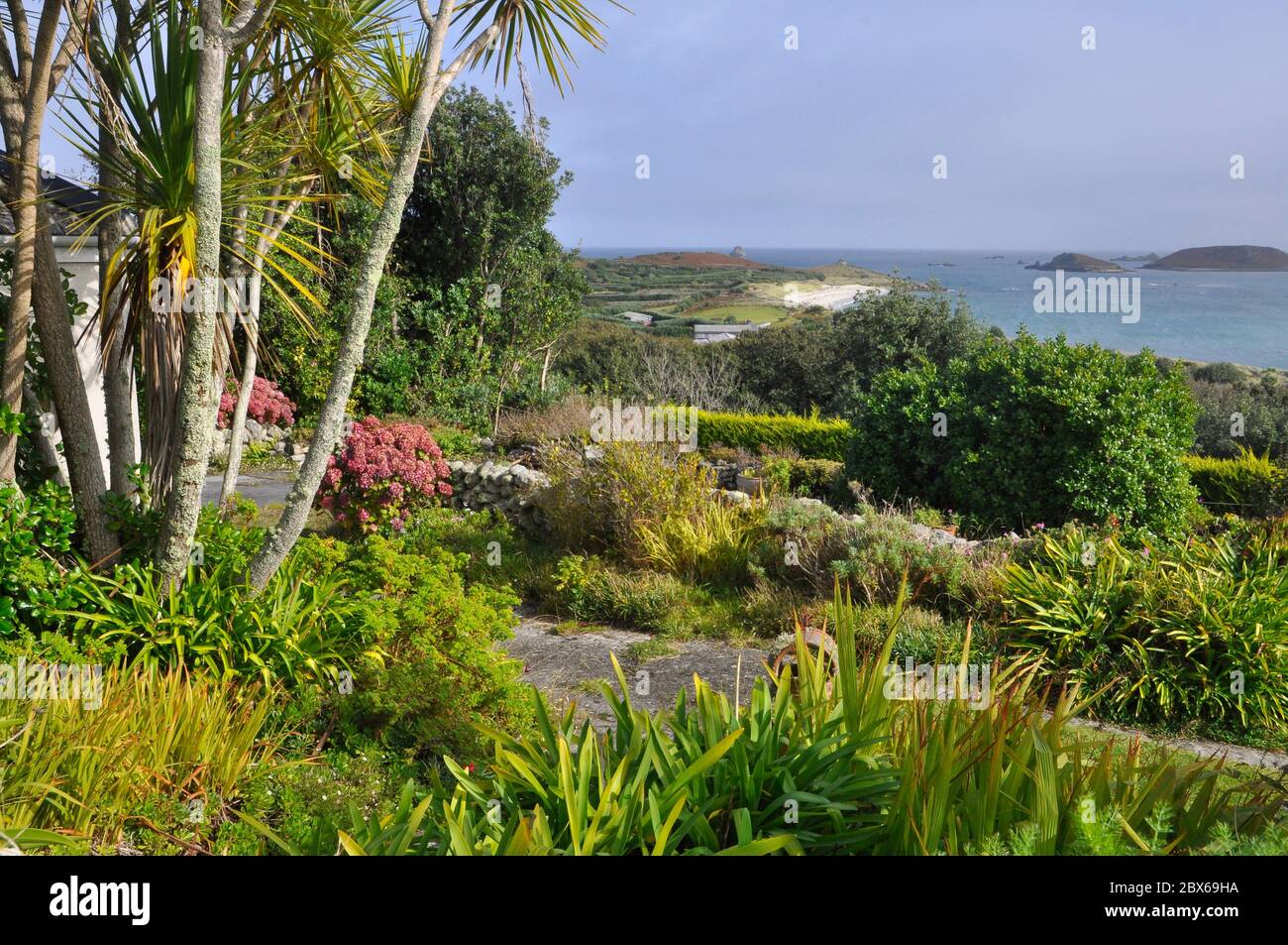 Guardando attraverso un giardino colorato da San Martins, una delle cinque isole abitate nell'arcipelago delle isole di Scilly, verso le isole orientali e C. Foto Stock