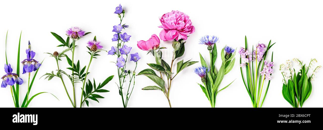 Bluebells, peony, campanula, iris, cornflower e giglio della collezione di fiori a valle. Giardino primavera fiori composizione creativa isolato su bianco b Foto Stock