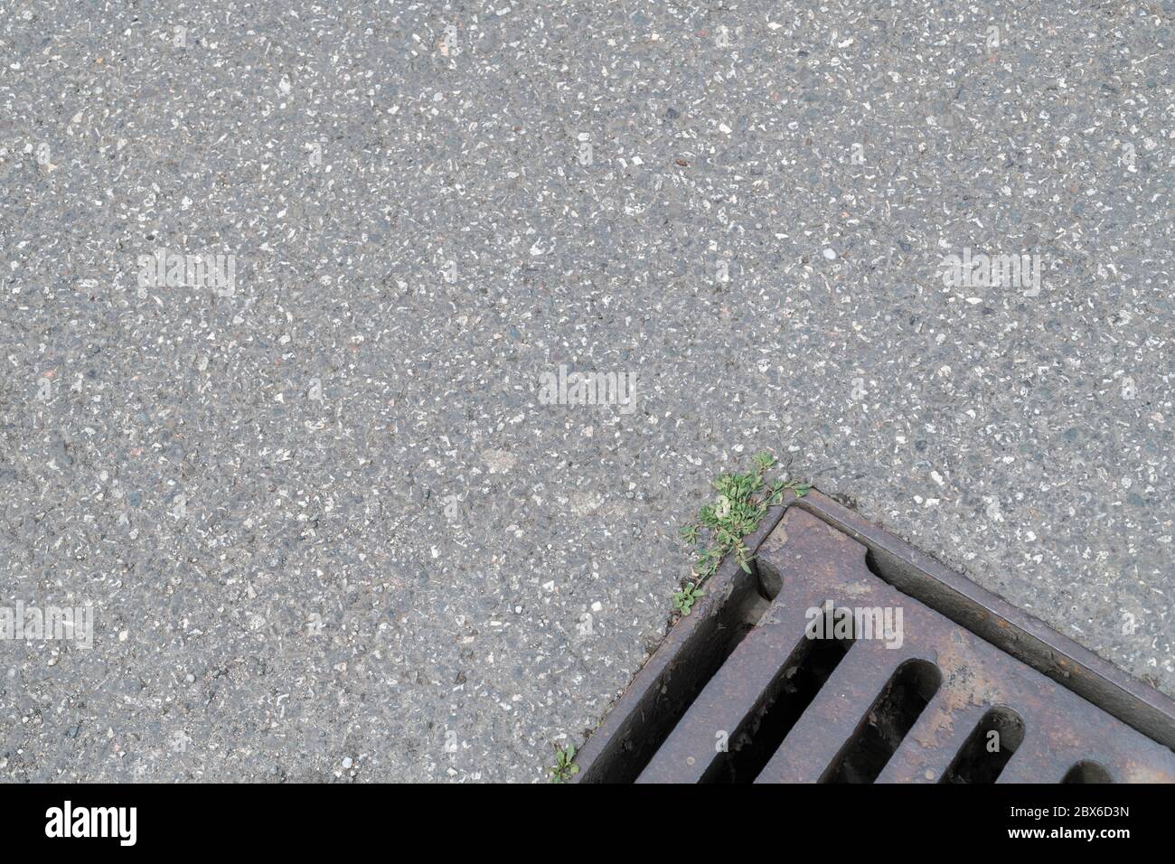 Parte del coperchio di scarico dell'acqua di superficie in metallo su strada asfaltata con un campione di erbaccia povero che cresce tra le crepe. Soldi giù la metafora di scolo. Foto Stock Parte del coperchio di scarico dell'acqua di superficie in metallo su strada asfaltata con un campione di erbaccia povero che cresce tra le crepe. Soldi giù la metafora di scolo. Foto Stock