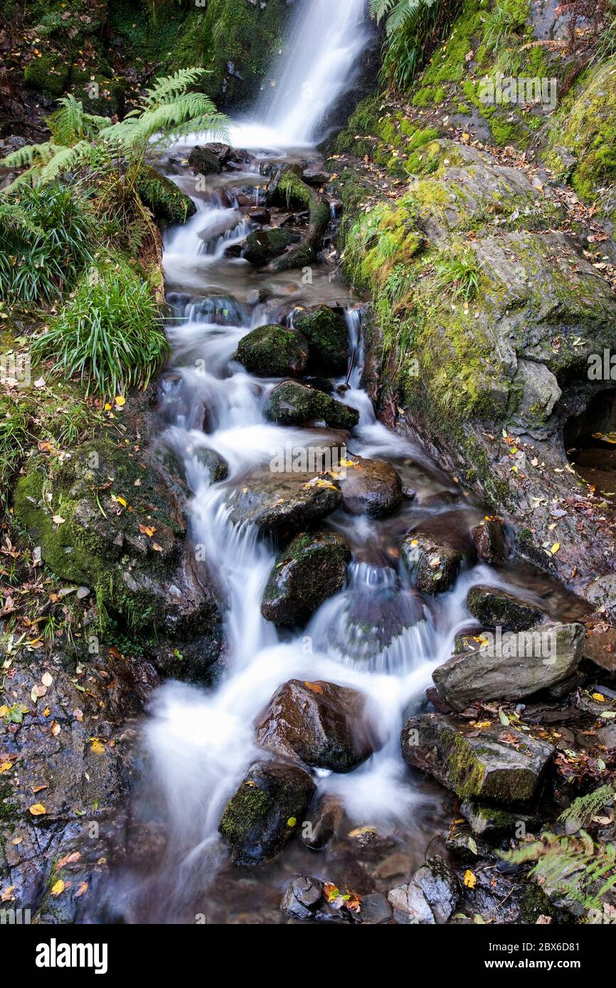 Foto ritratto a lunga esposizione di Holme Force Lower cade a pieno flusso. Situato in Holme Wood vicino a Loweswater, Lake District, Cumbria, Inghilterra, Regno Unito. Foto Stock