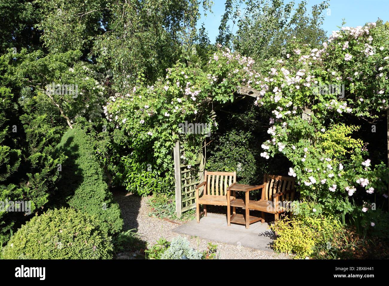 Sedie da giardino e tavolo in legno sotto un arco coperto di rose fiorite Foto Stock