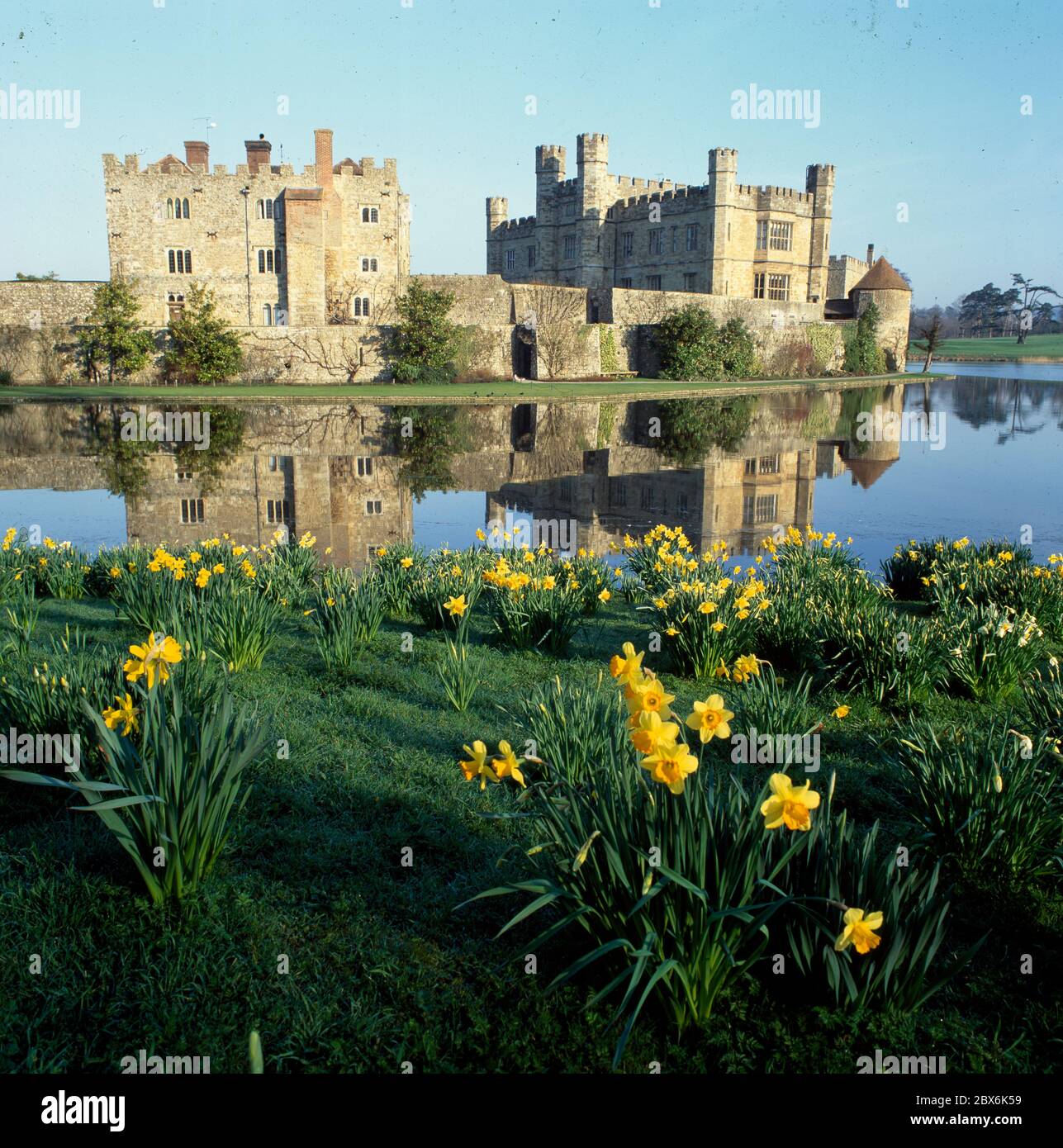 Castello di Leeds con fossato circondato da narcisi Foto Stock