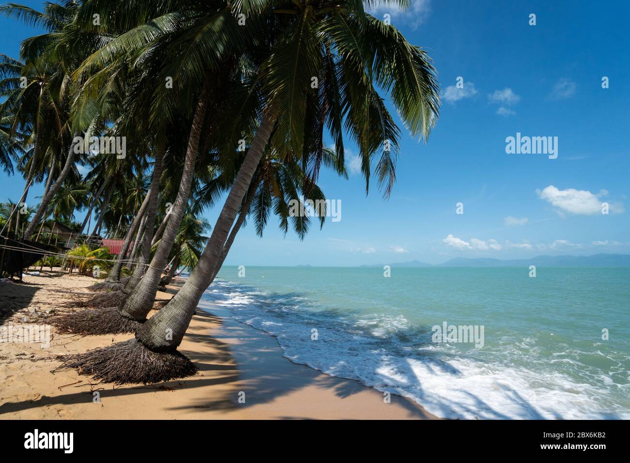 Palme da cocco sulla spiaggia di sabbia bianca con acqua cristallina in una giornata di sole. Foto Stock