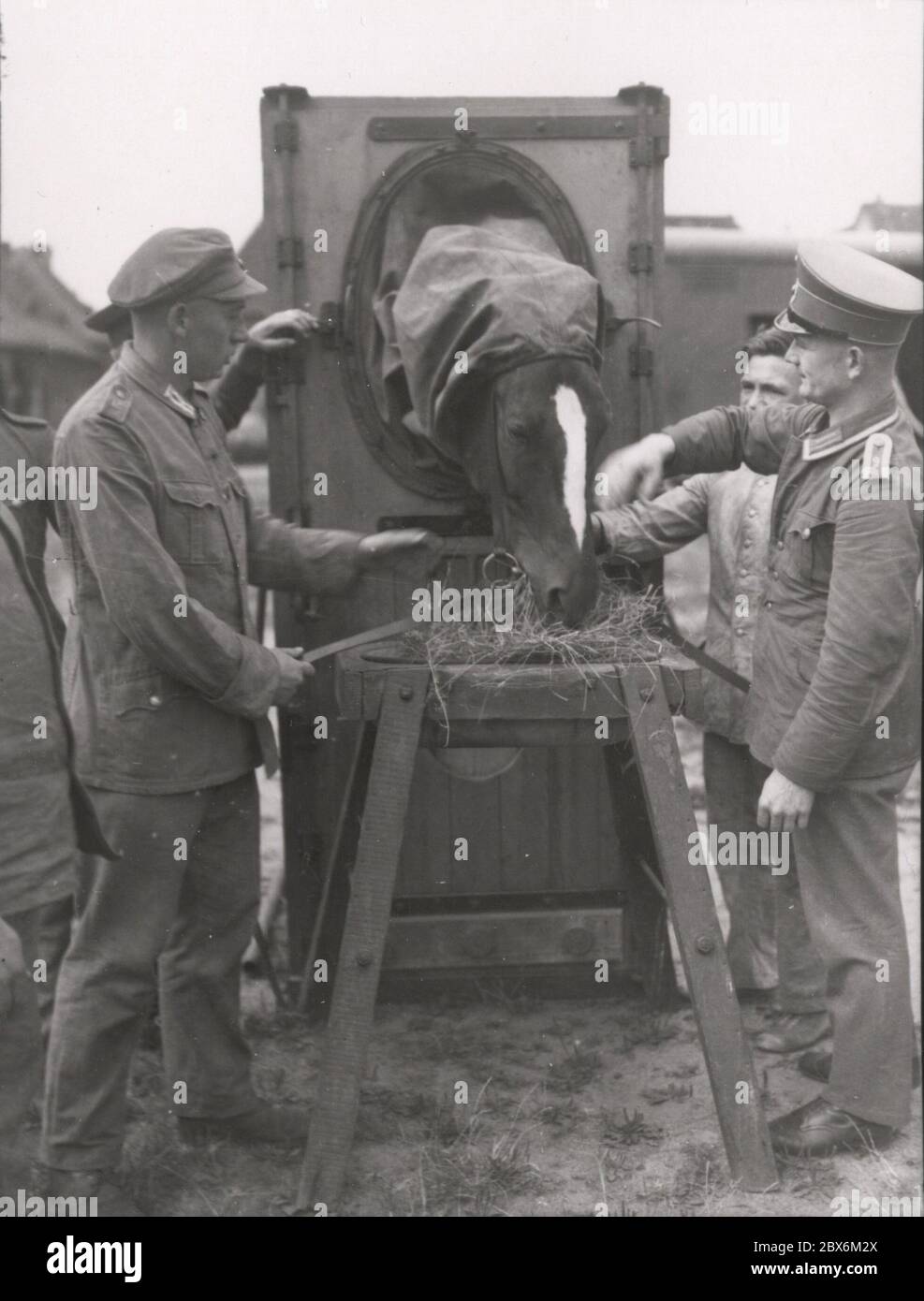 Ospedale dei cavalli del Reichswehr - reportage Heinrich Hoffmann Fotografie 1933 fotografo ufficiale di Adolf Hitler, e un politico e editore nazista, che era un membro del circolo intimo di Hitler. Foto Stock