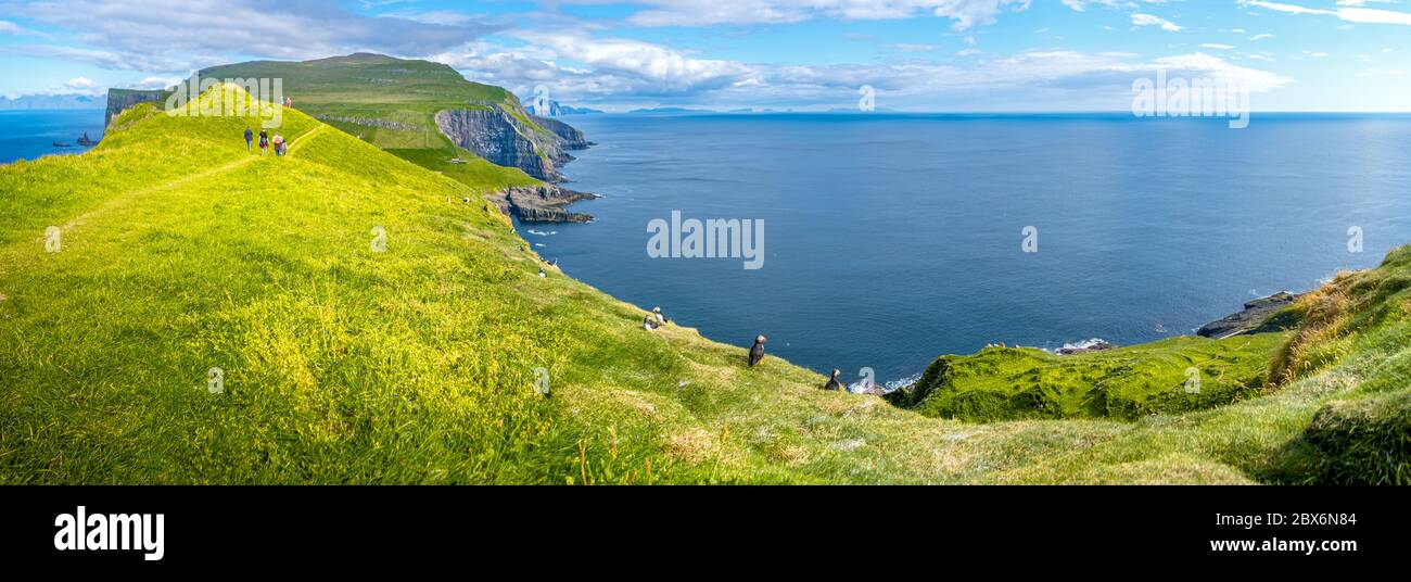 Vista panoramica sulla mitica Faroe Island Mykines nel mezzo dell'Oceano Atlantico con un sacco di pulcinelle, pappagalli come uccelli marini, e escursionisti Foto Stock