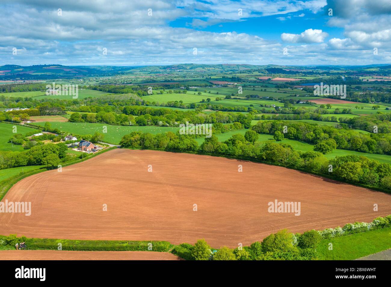 Spreeng in Devon visto su Beacon Hill vicino Exeter, Devon, Inghilterra, Regno Unito, Europa Foto Stock