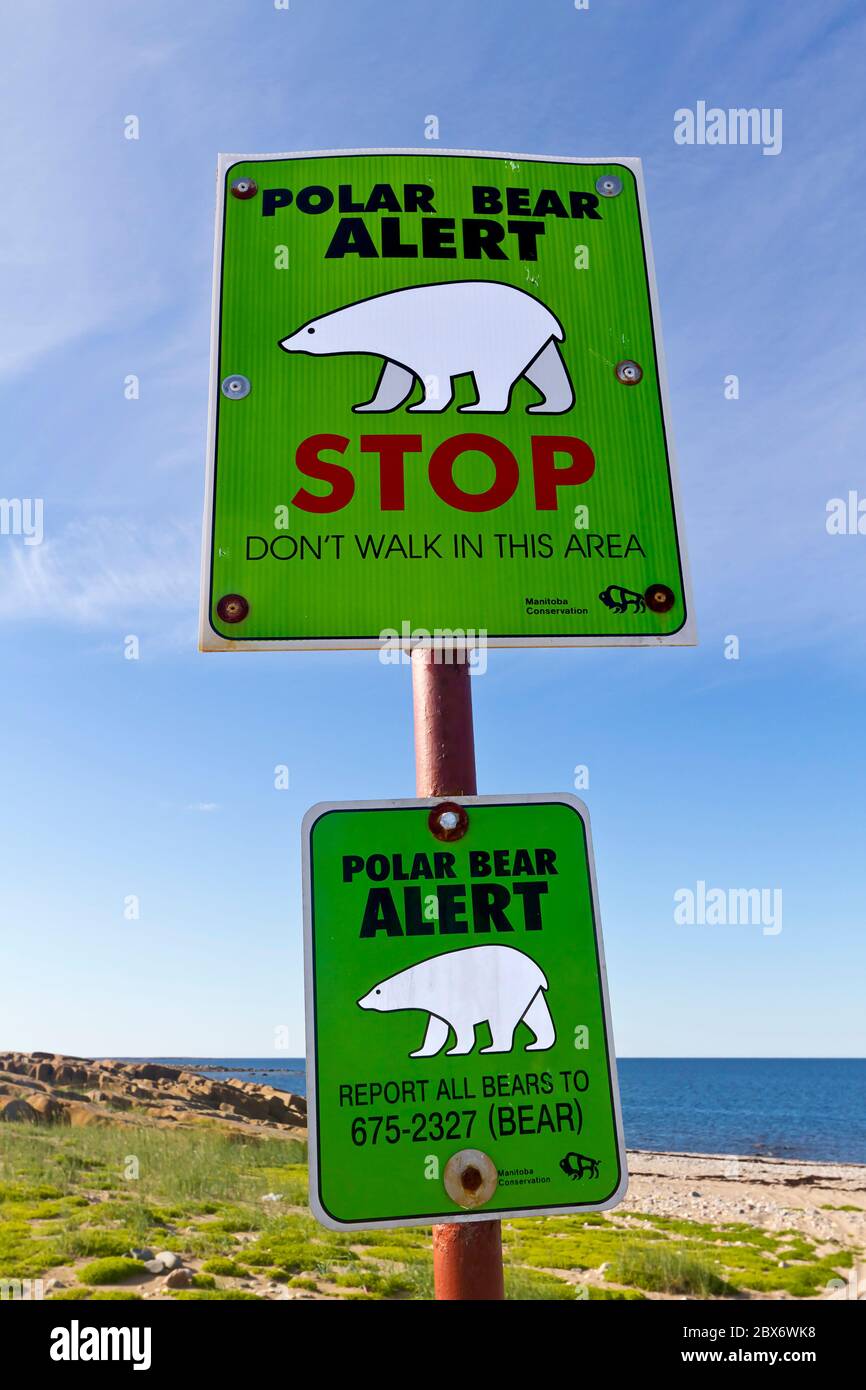 Segnale di allarme ubiquitario per l'orso polare trovato in tutta Churchill, Manitoba, Canada. La città di Hudson Bay è un crocevia di orsi polari Foto Stock