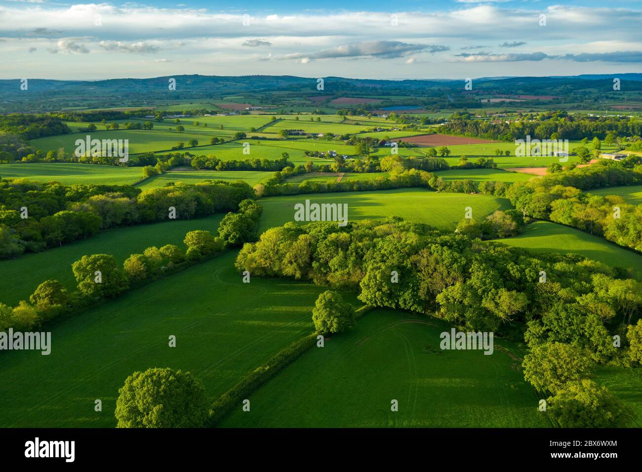 Spreeng in Devon visto su Beacon Hill vicino Exeter, Devon, Inghilterra, Regno Unito, Europa Foto Stock