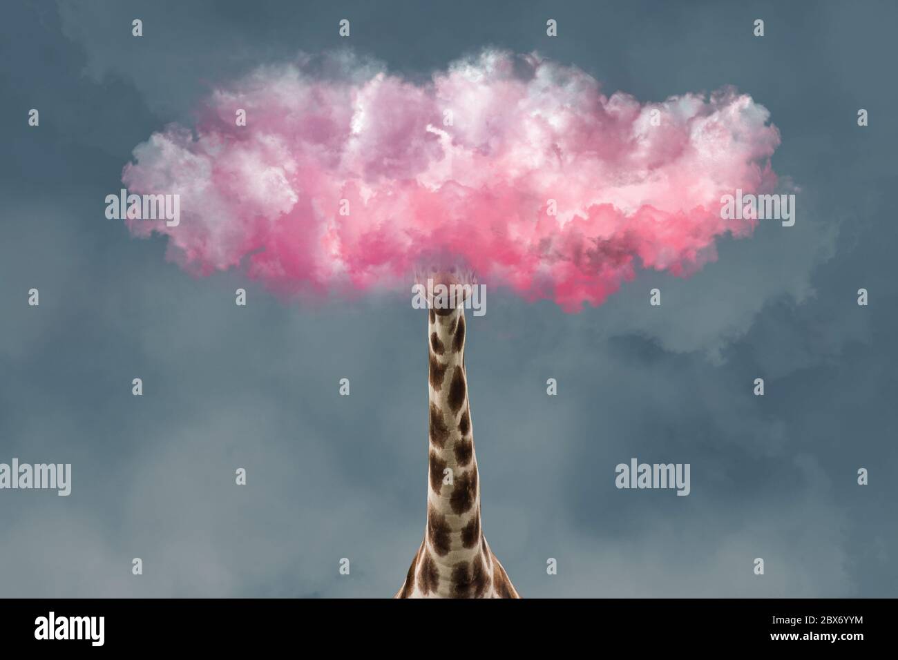 Giraffa testa in nuvole rosa. Collage creativo insolito. Concetto di persona Romantica non vuole vivere nel mondo reale. Foto Stock