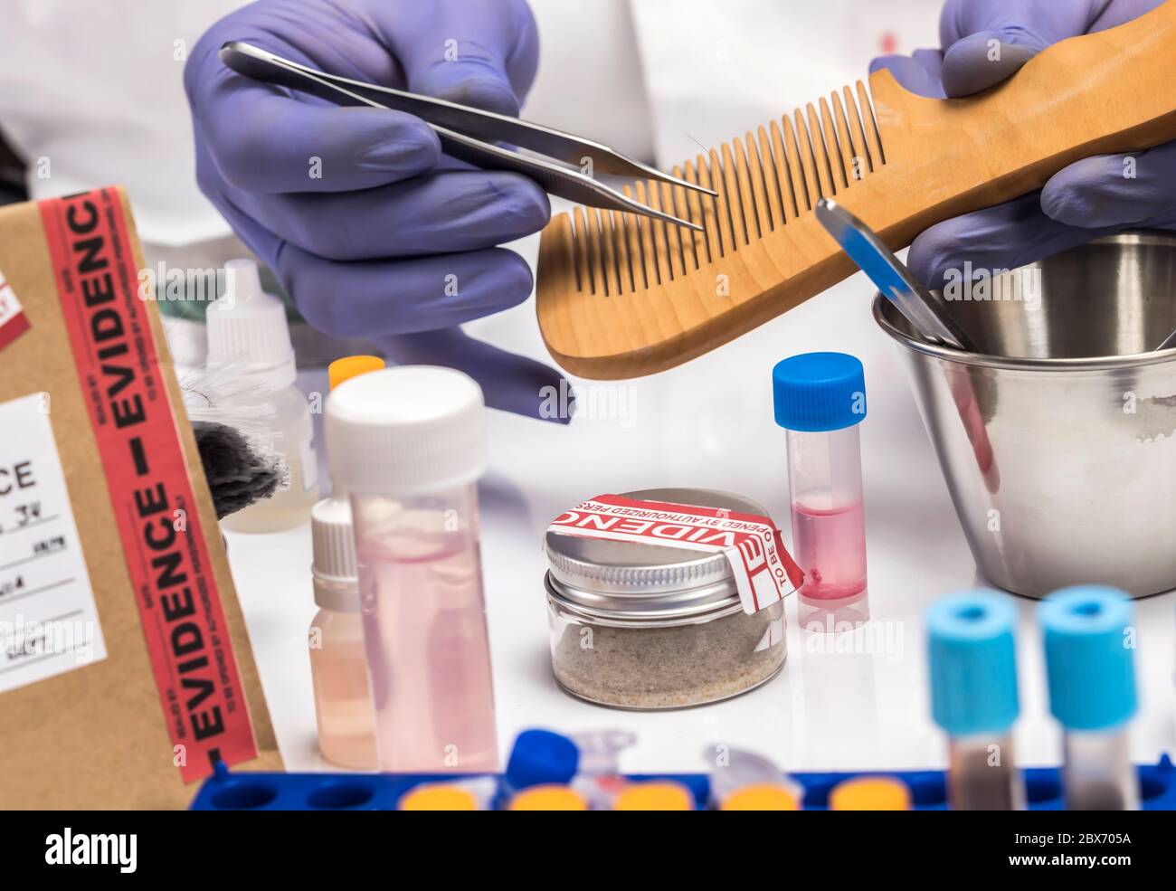 Polizia specializzata prendere capelli pettini per prendere il DNA dalla vittima di omicidio, immagine concettuale Foto Stock