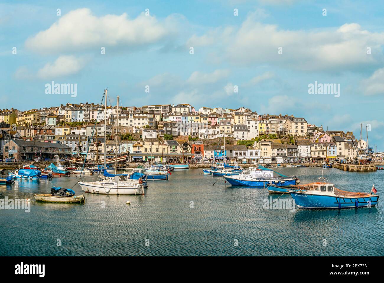 Porto e Marina di Brixham sulla costa di Torbay, Devon, Inghilterra Foto Stock