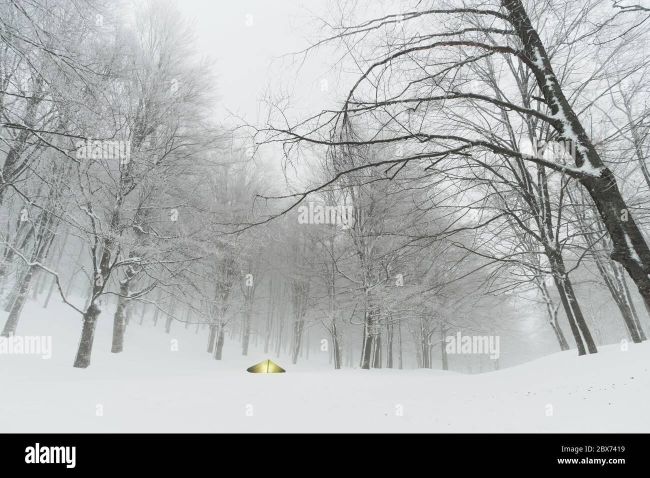 Campeggio invernale nella foresta di neve dei Monti Nebrodi punto di riferimento naturale in Sicilia avventura di viaggio selvaggio all'aperto Foto Stock