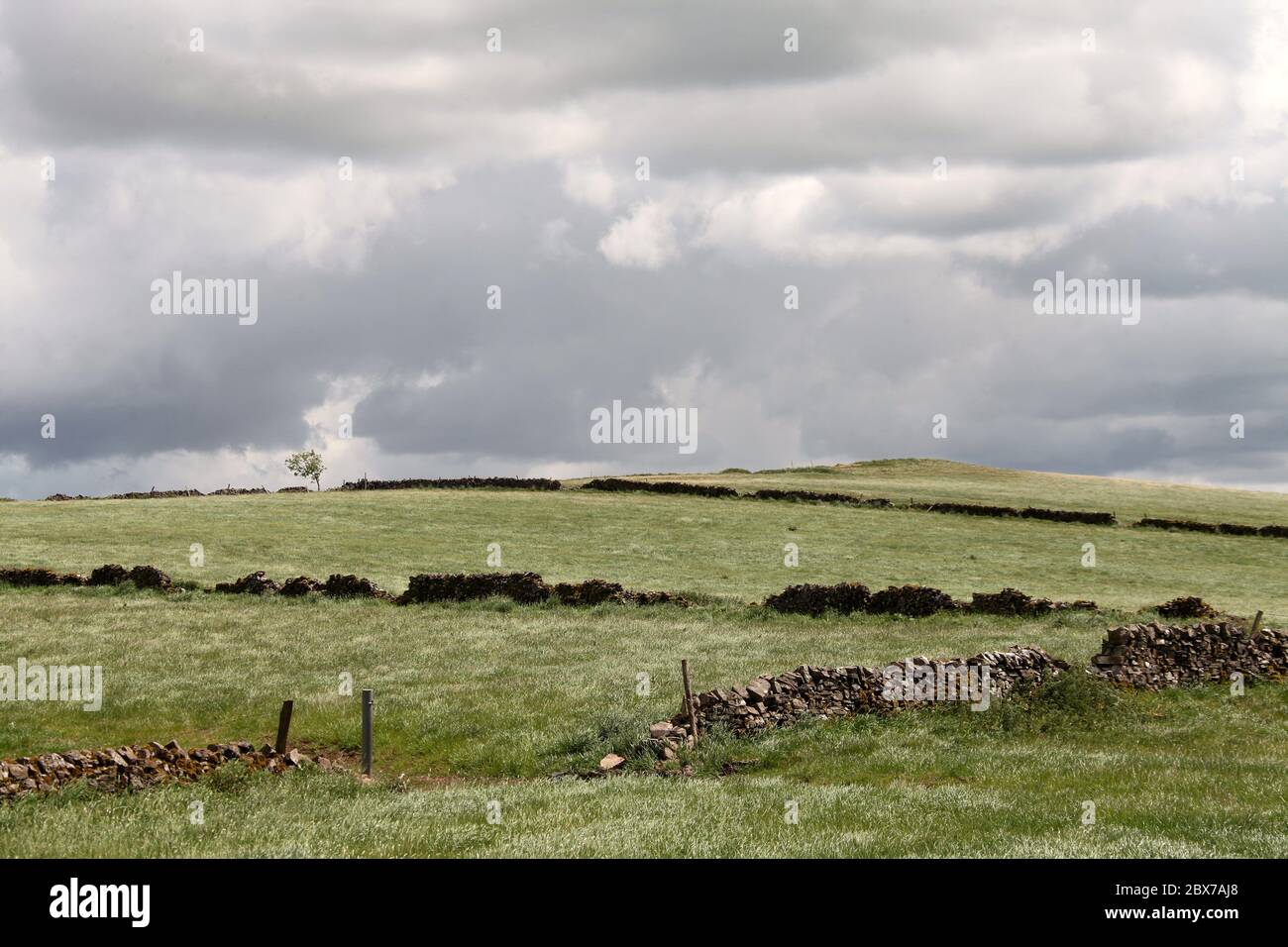 Terreni agricoli nelle Moorlands di Staffordshire Foto Stock