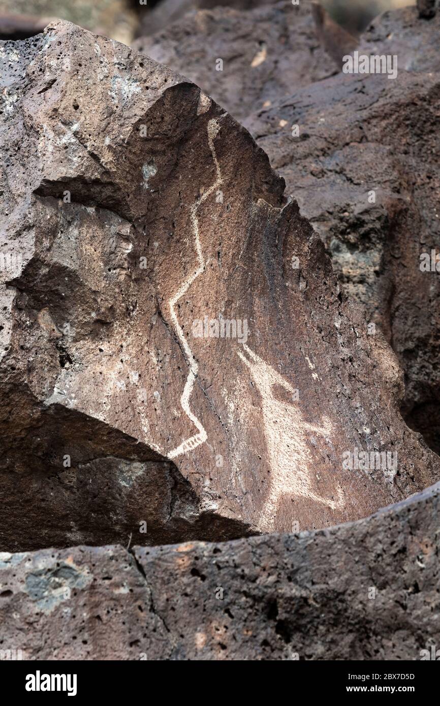 NM00522-00...NUOVO MESSICO - un serpente e un animale incappato nella roccia, creato da Ancestral Puebloans nel Petroglyph National Monument. Foto Stock