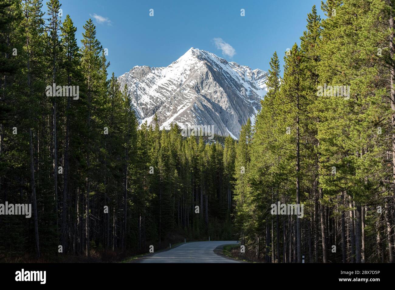 In primavera, dirigersi verso il monte Foch sul sentiero dei laghi di Kananaskis. Peter Lougheed Provincial Park, Alberta, Canada. Foto Stock