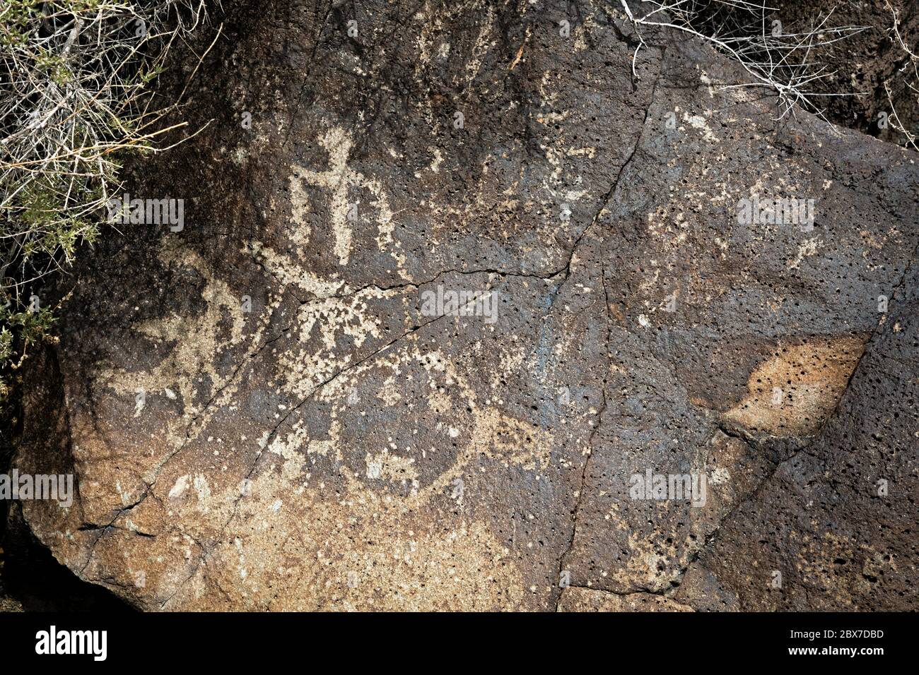 NM00530-00...NUOVO MESSICO - i Petrokkylphs si sono incappati nella vernice del deserto su una roccia basaltica nella sezione del Canyon di Boca Negra del Petrogylphs National Monu Foto Stock