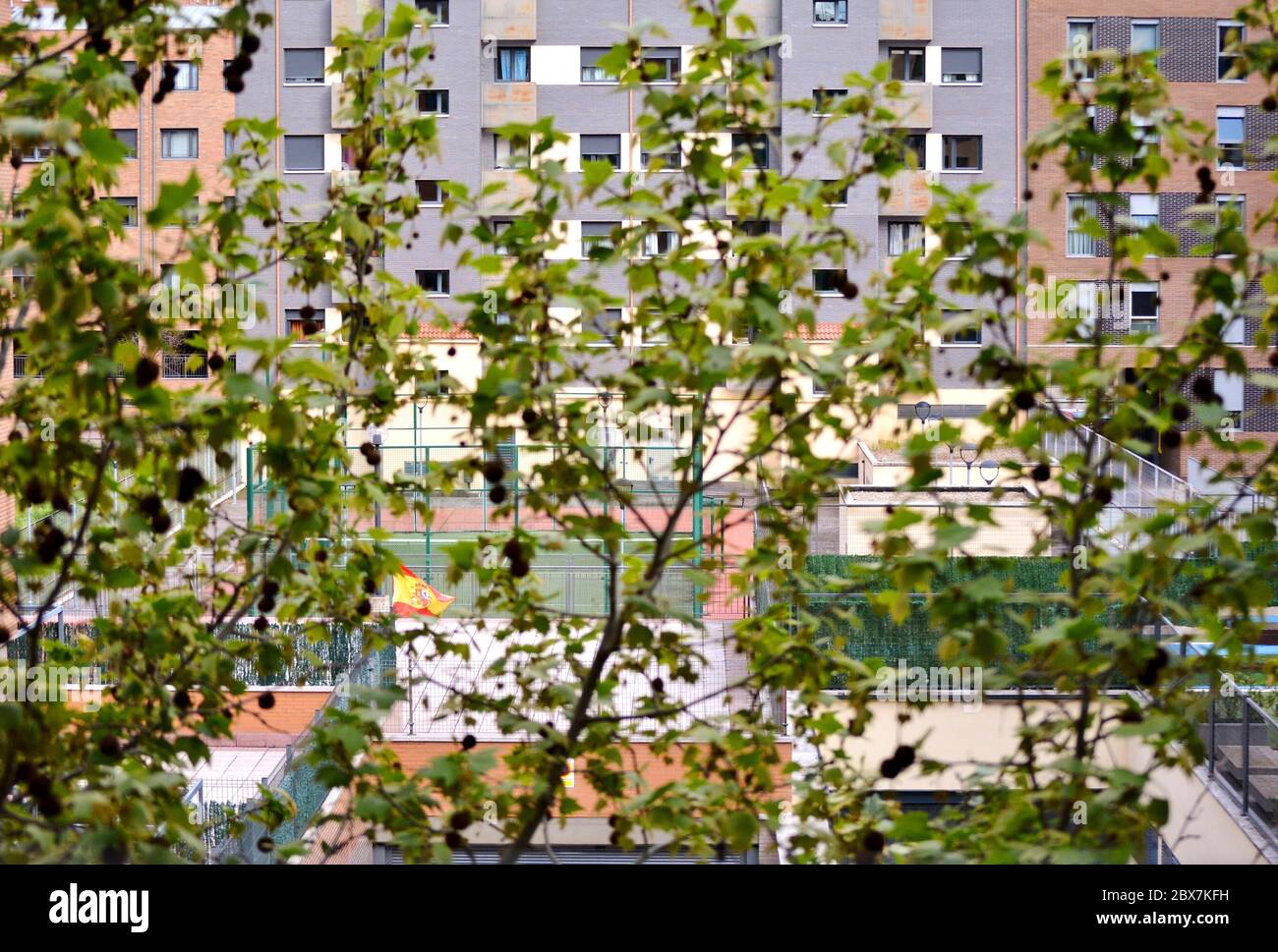 la bandiera spagnola tra gli alberi Foto Stock