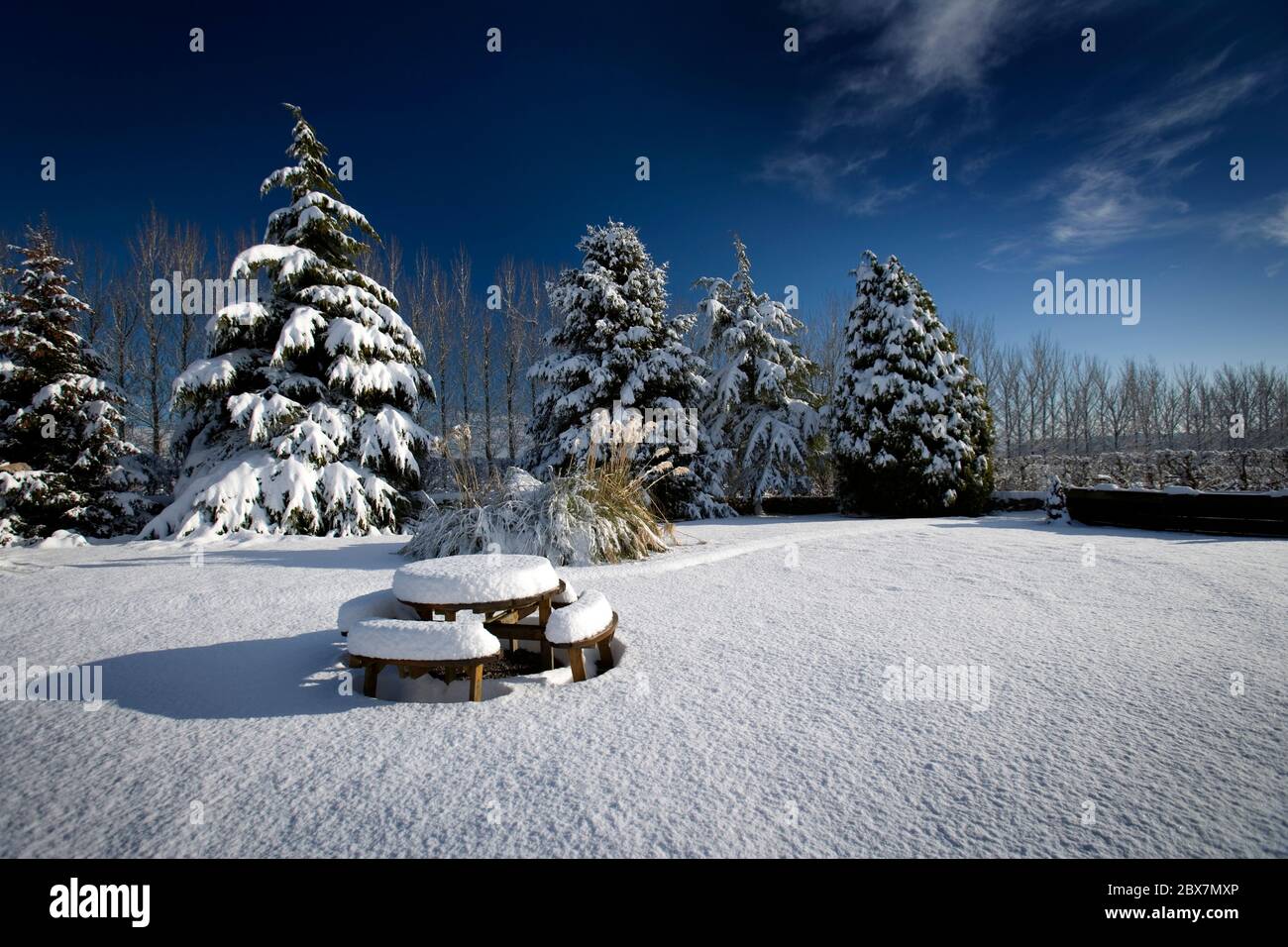 Alberi innevati con tavolo da picnic e cielo blu in una giornata di sole Foto Stock