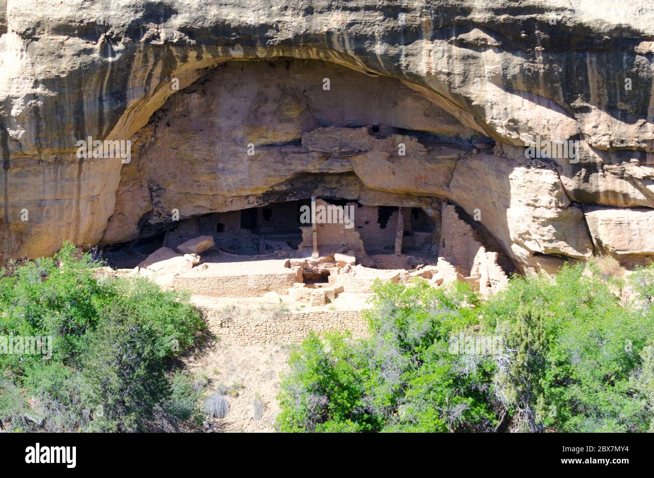 Pueblo Cliff Dwellings nel Mesa Verde National Park, Colorado USA Foto Stock