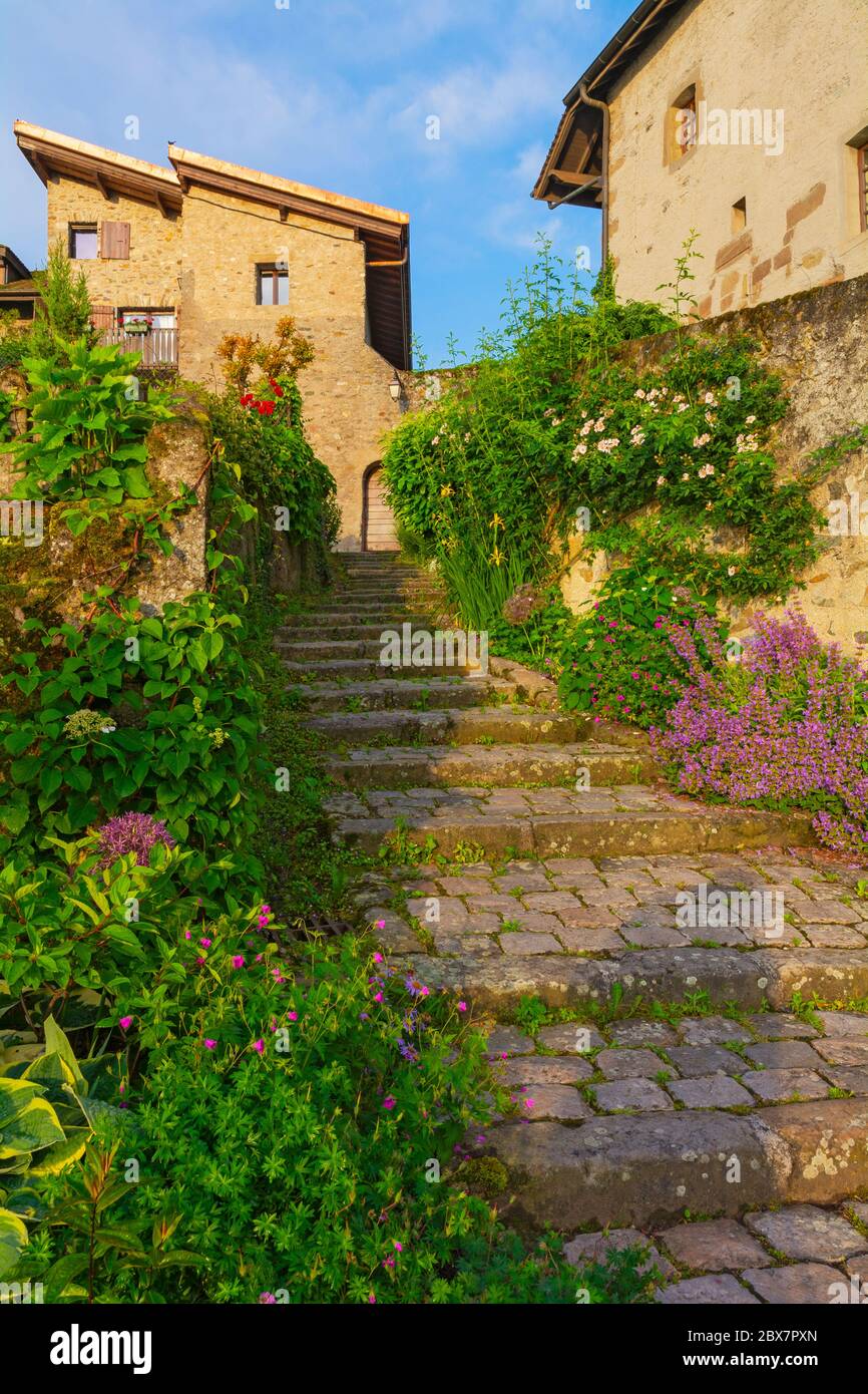 Francia, Yvoire, scala con fiorito boarder Foto Stock