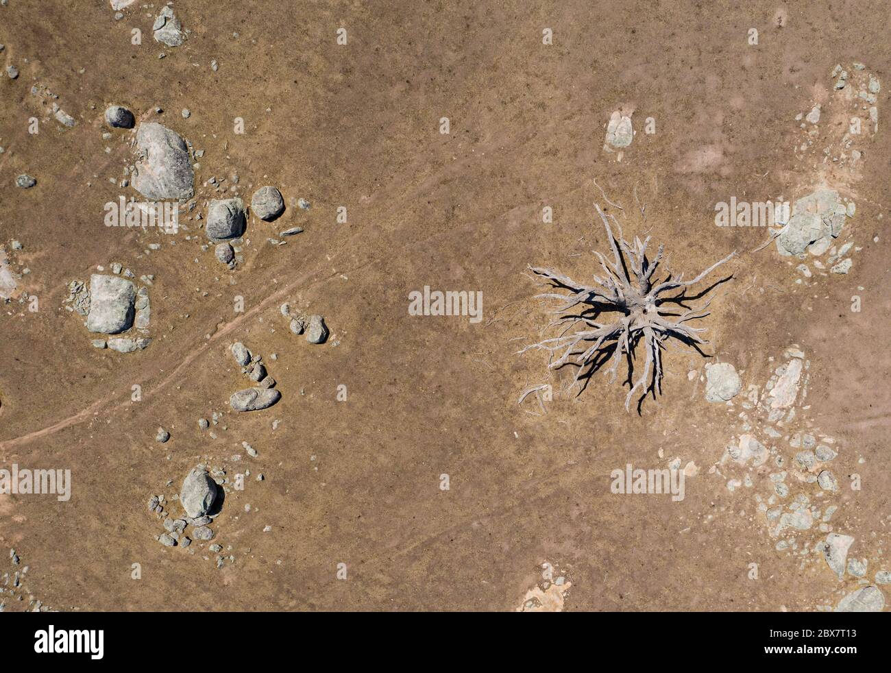 Vista aerea dall'alto di un albero morto e massi di granito nella zona colpita dalla siccità di Lancefield, nel paese Victoria, Australia Foto Stock