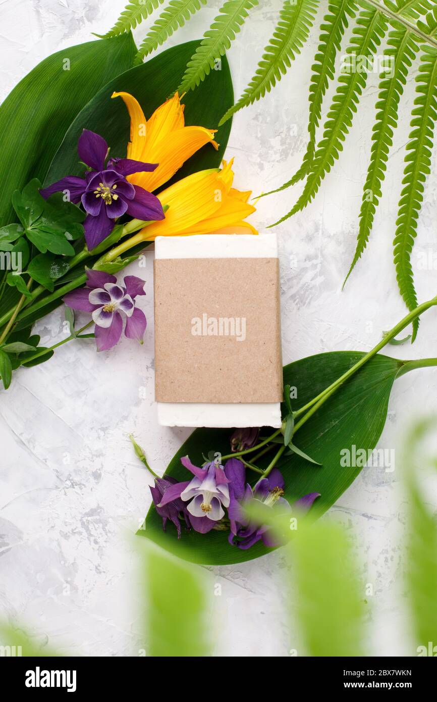 Sapone bianco fatto a mano in olio di cocco in confezione carta artigianale, piante e fiori su sfondo bianco, prodotto per la cura della pelle, igiene delle mani, sapone di erbe, Conc. Spa Foto Stock
