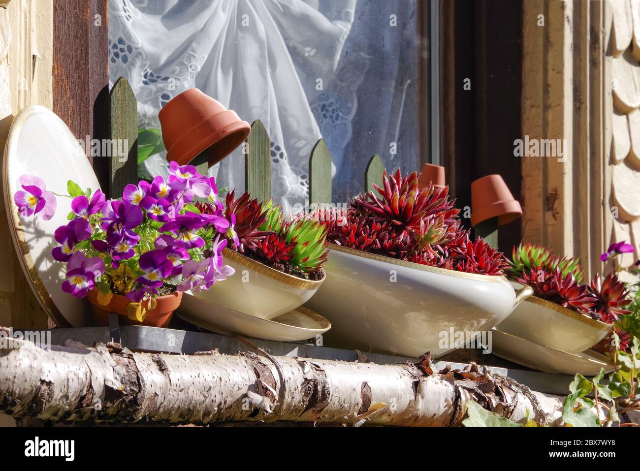 Fiori piantati in servizio di ristorazione su un davanzale di una casa Foto Stock