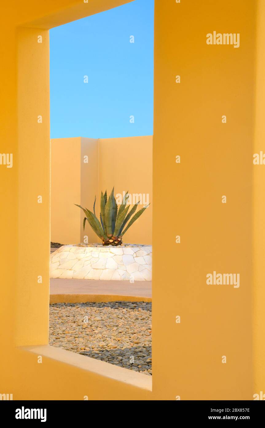 Le pareti gialle incorniciano il giardino interno di roccia , una caratteristica in Messico. Il cielo blu si vede tra le pareti. L'attenzione è rivolta all'impianto di Agave nel middl Foto Stock