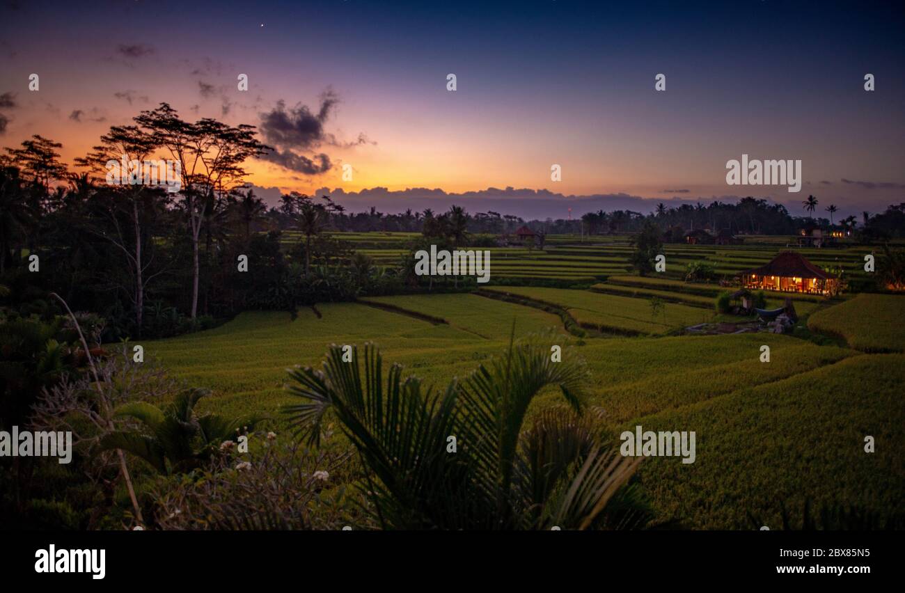 Risaie viste da una terrazza ristorante di notte, senza persone e cielo chiaro Ubud, Bali, Indonesia Foto Stock