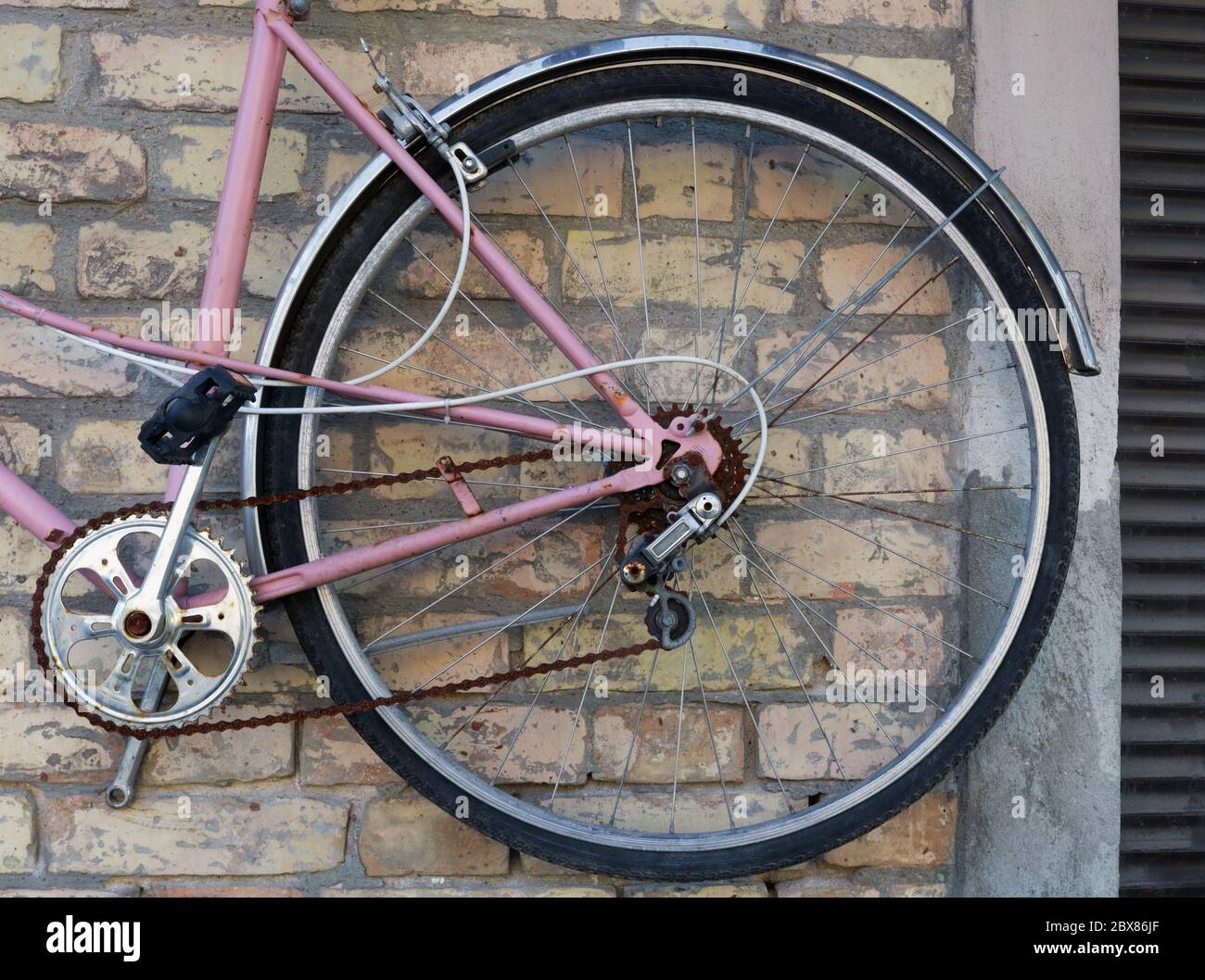 Ruota di una bici retrò rosa rotta appesa su un muro di mattoni giallo Foto  stock - Alamy