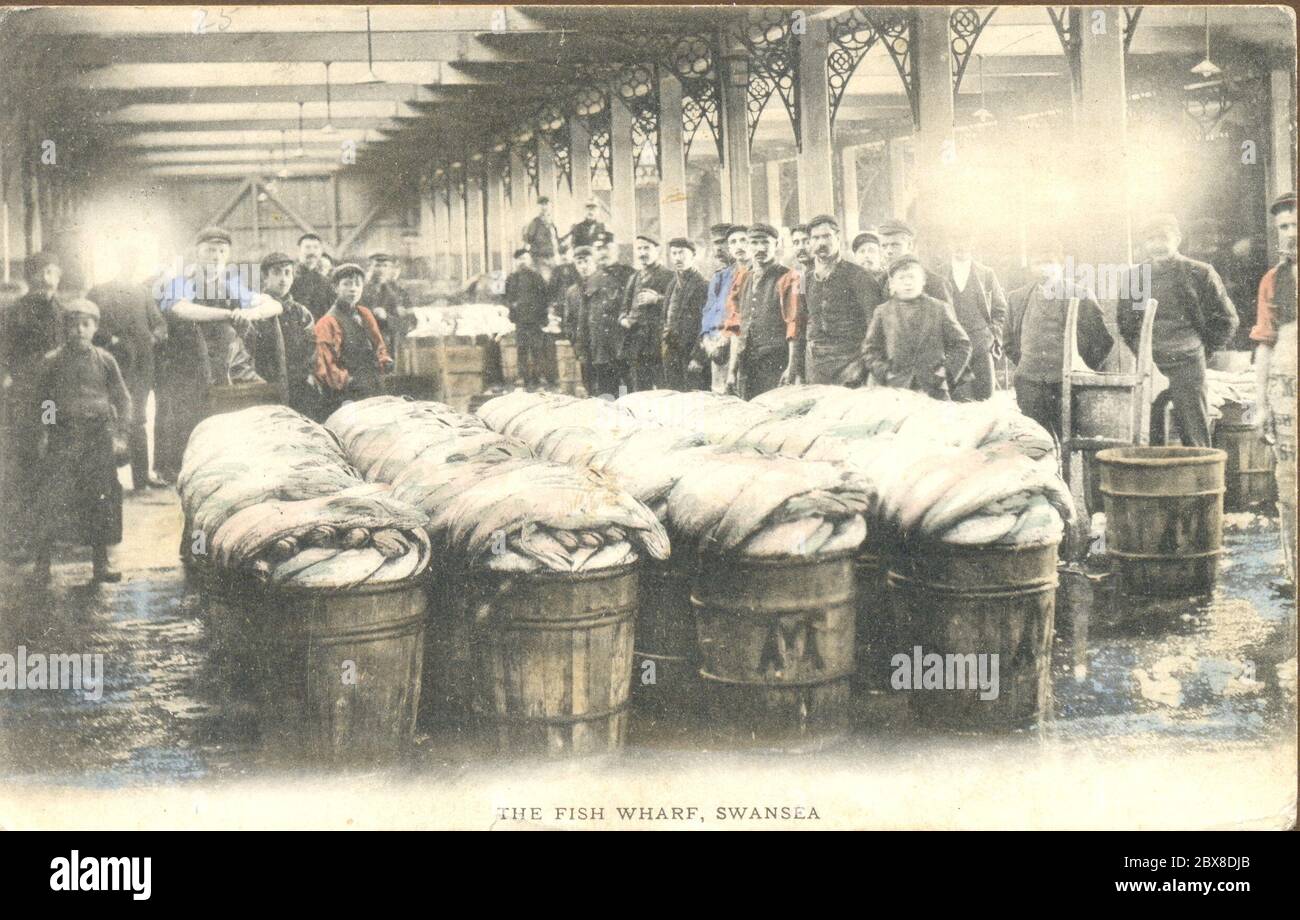 La mattina si cattura al Fish Wharf, Swansea, Galles del Sud circa 1905 mostrando oltre trenta portieri Foto Stock