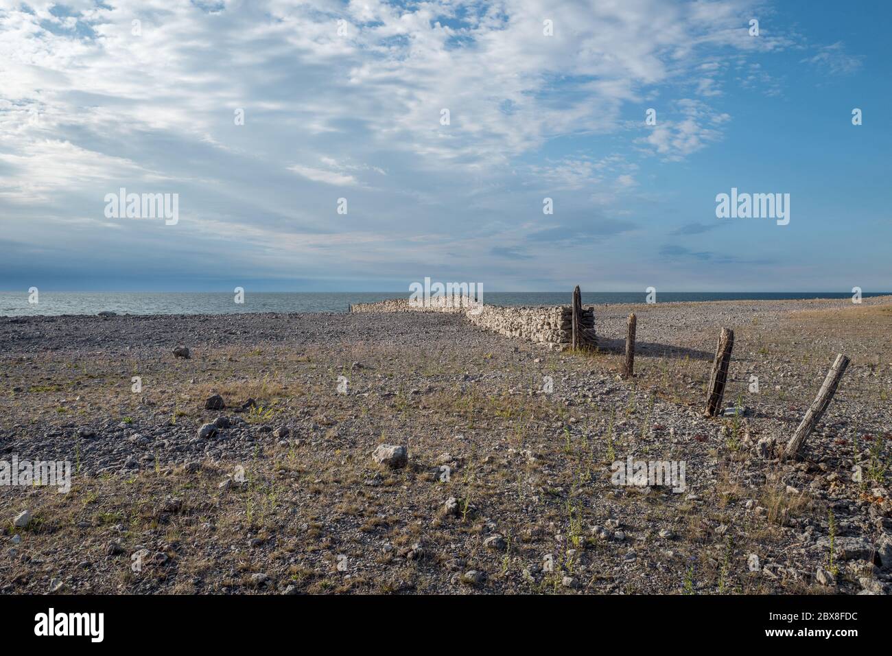 Tipico paesaggio calcareo arido sull'isola del Mar Baltico Fårö a Gotland, Svezia Foto Stock