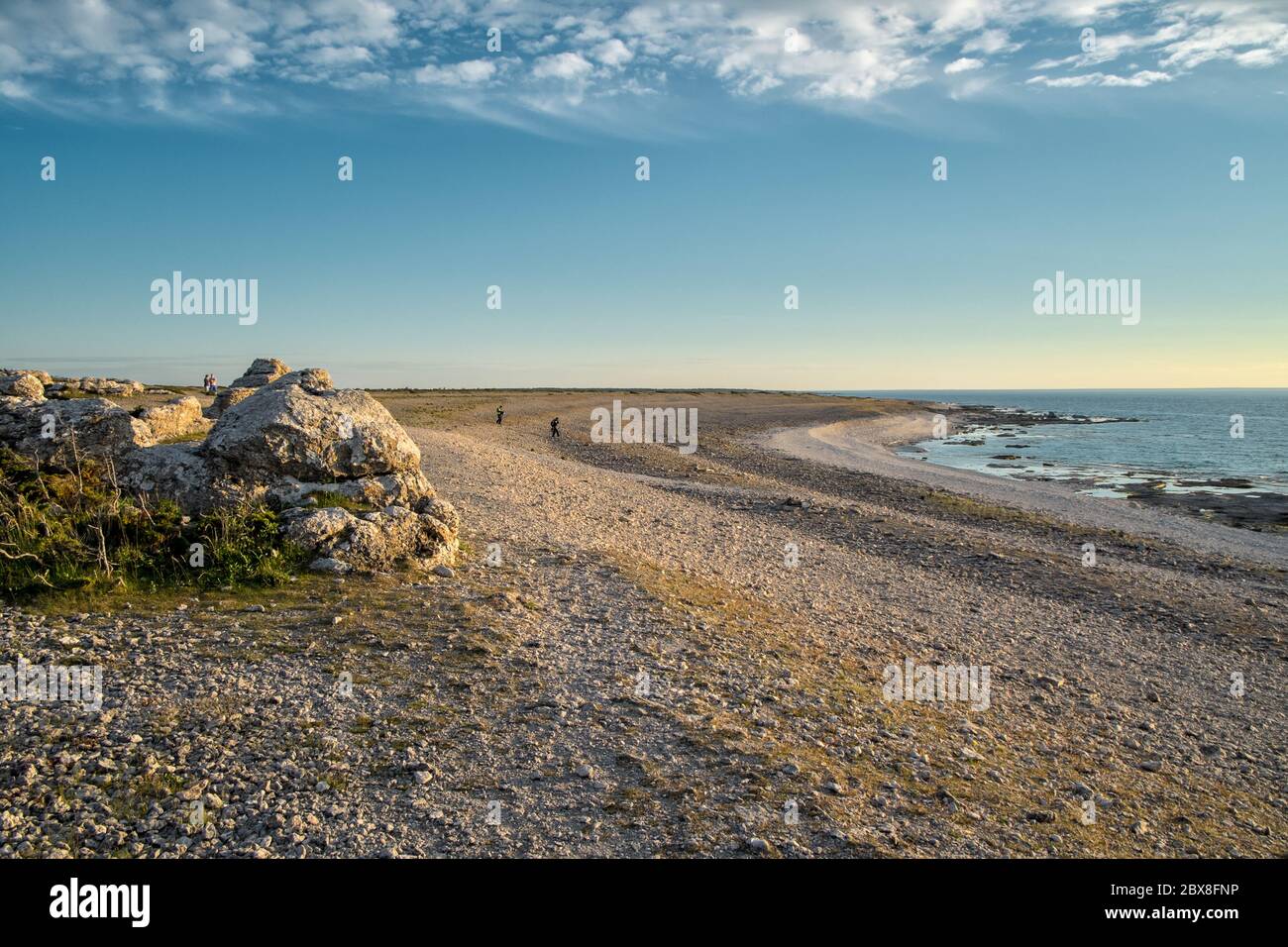 Tipico paesaggio calcareo arido sull'isola del Mar Baltico Fårö a Gotland, Svezia Foto Stock