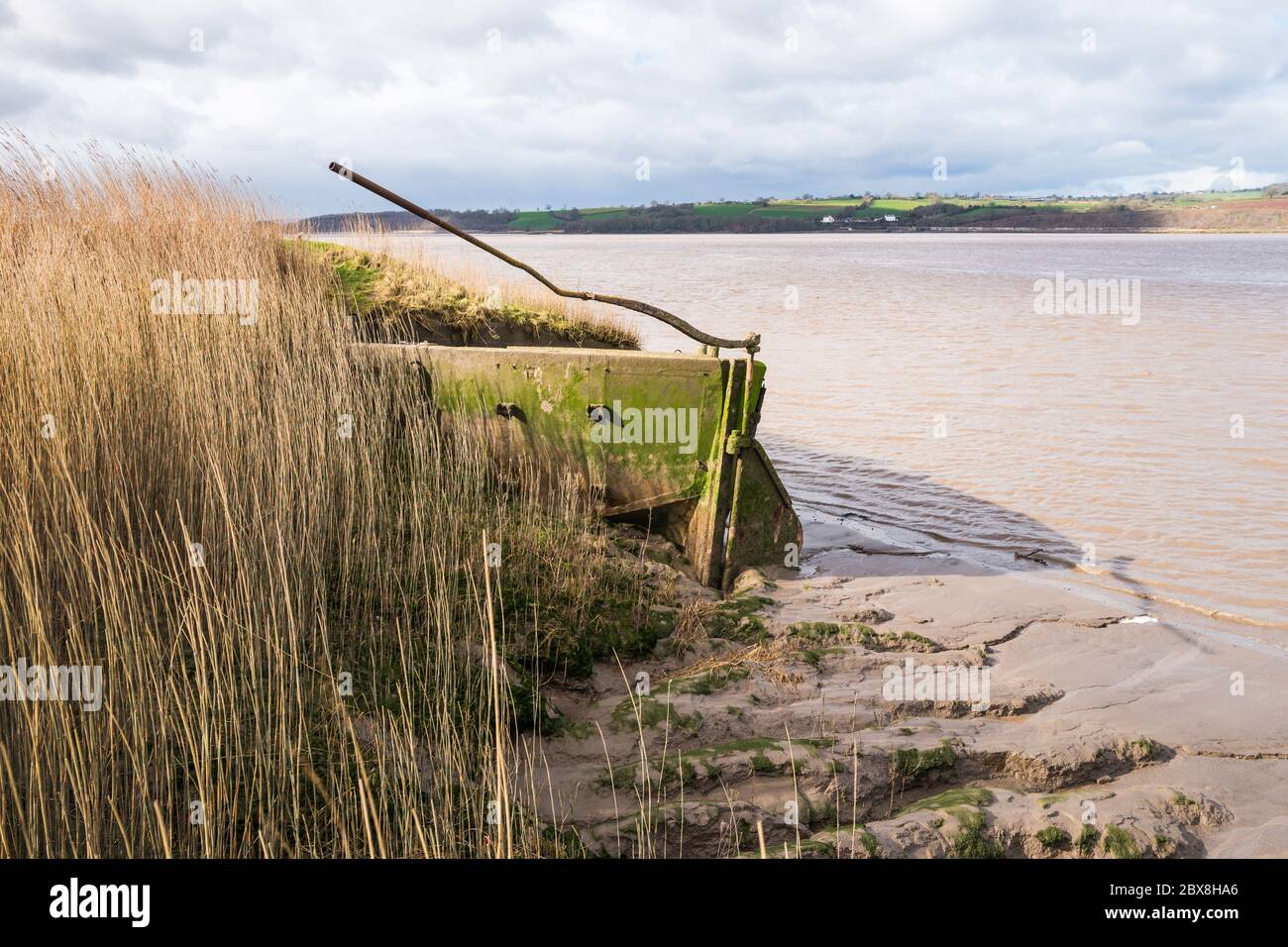 Purton Hulks sono imbarcazioni abbandonate volutamente spiaggiate accanto al fiume Severn per rinforzare le rive del fiume. Purton, Gloucestershire, Inghilterra, Regno Unito. Foto Stock