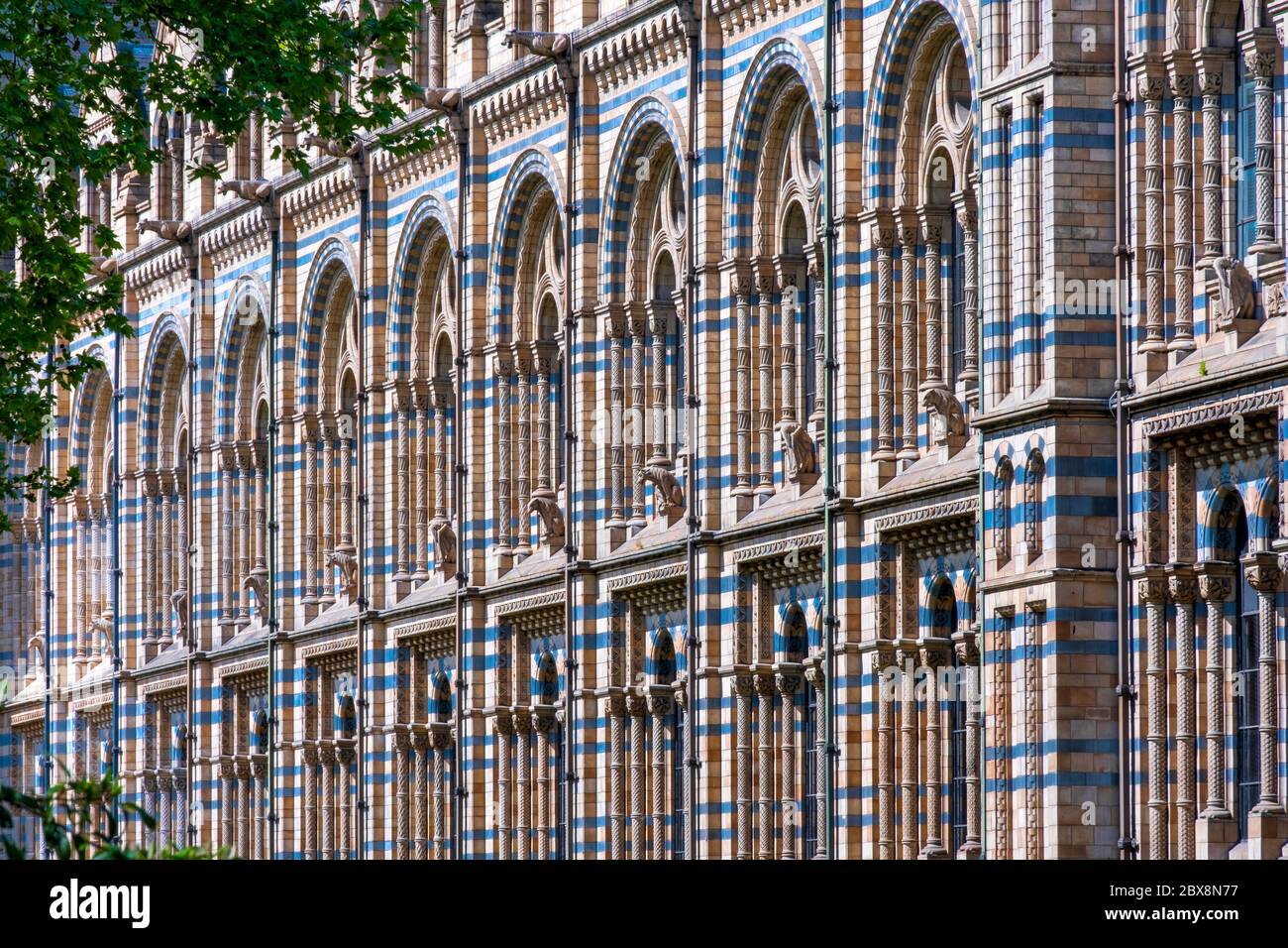 Regno Unito, Inghilterra, Londra, South Kensington. La facciata in terracotta del museo di storia naturale di Alfred Waterhouse Foto Stock