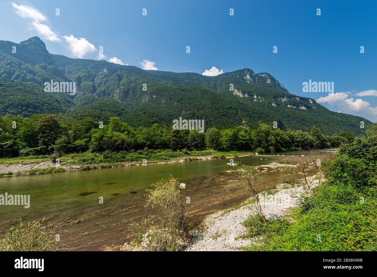 Il verde fiume Brenta in Valsugana. Borgo Valsugana, provincia di Trento, Trentino Alto Adige, Italia, Europa Foto Stock